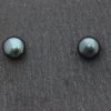 Black Peacock Fresh Water Pearl Earring Studs
