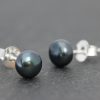 Black Peacock Fresh Water Pearl Earring Studs