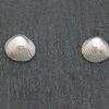 Cockle shell Stud Earrings