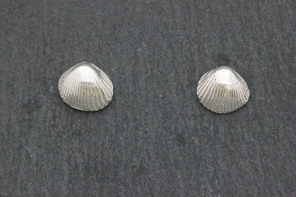 Cockle shell Stud Earrings