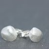 Cockle shell Stud Earrings