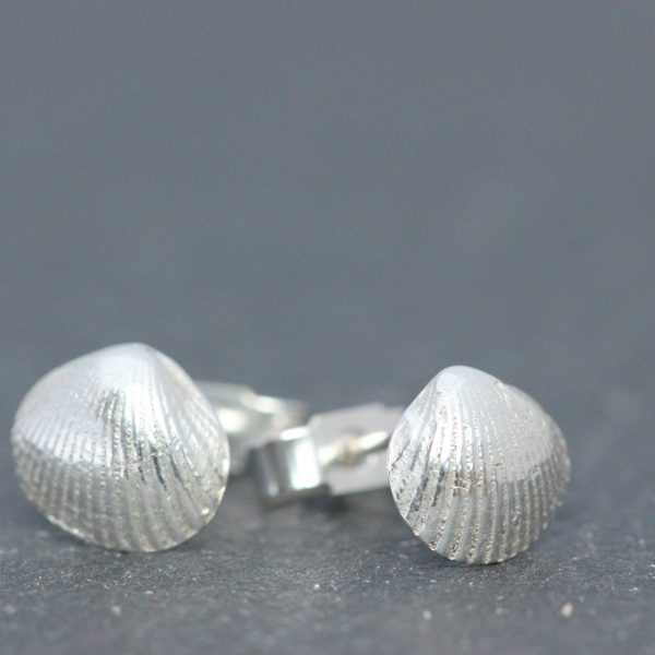 Cockle shell Stud Earrings