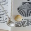 Cockle shell pendant