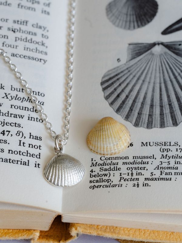 Cockle shell pendant