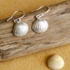 Cockle shell drop earrings
