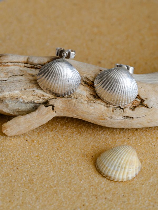 Cockle shell studs