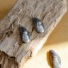 Mussel shell drop earrings