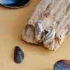 Mussel shell stud earrings